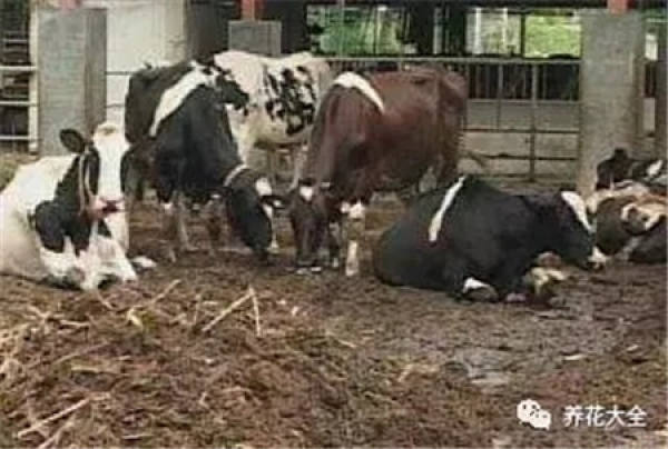 Composting of livestock manure