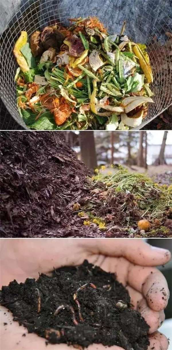 Composting of livestock manure