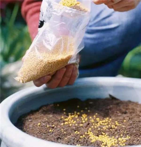 Composting of livestock manure