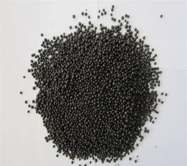 Seedling Cultivation of Salvia splendens