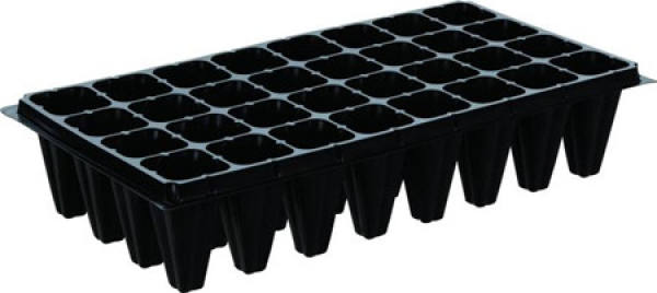 rooting method of rosemary in soil