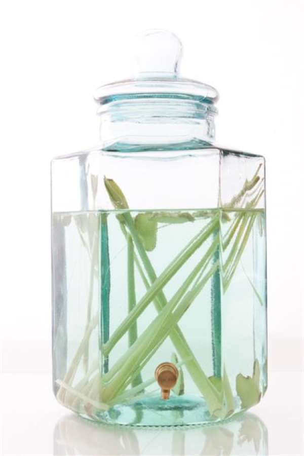 Introduction to Citronella