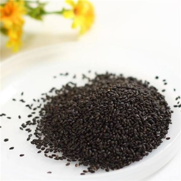 How to eat Basil seed The Plant Aide