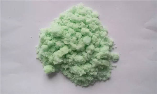 Hydrangea
