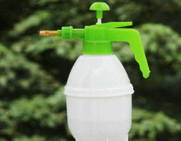 Transplanting method of cedar