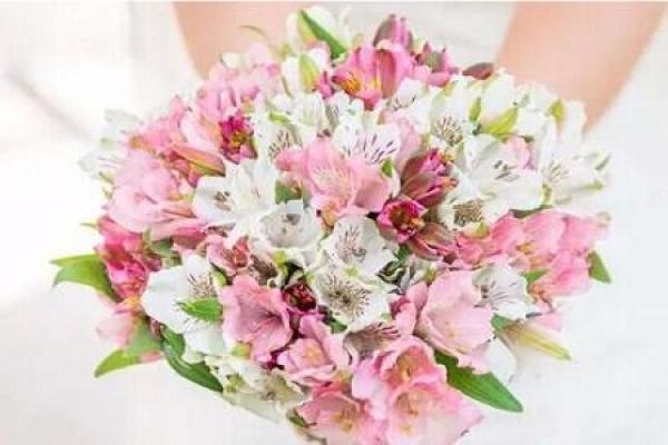 six flowers with flowers