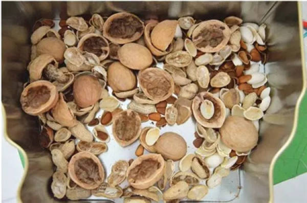 Fruit Shell