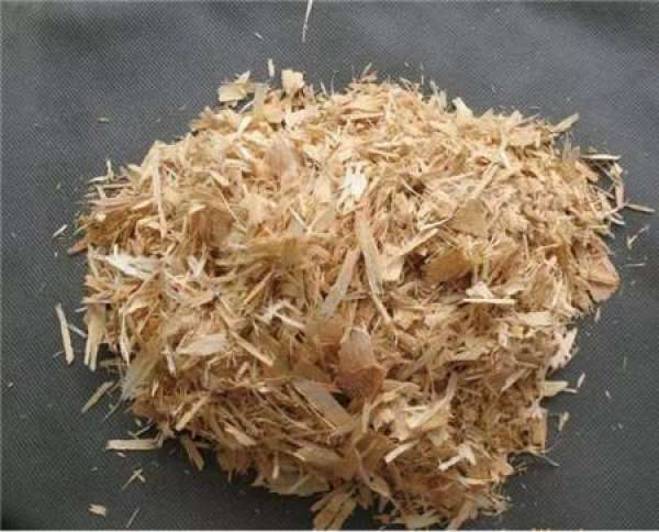 Fruit Shell