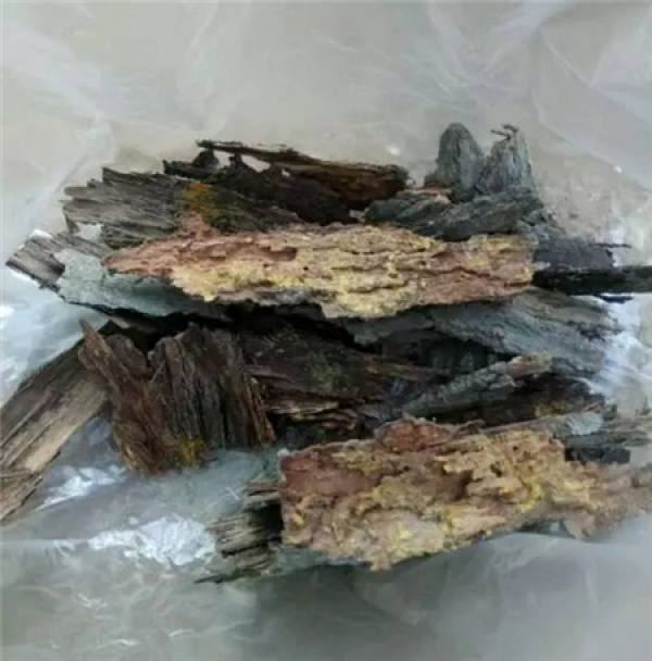 Fruit Shell