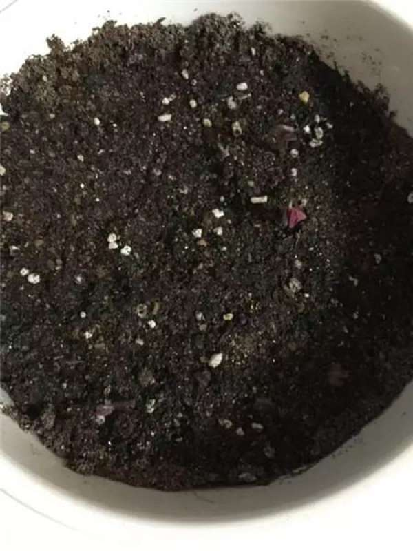 Cosmos