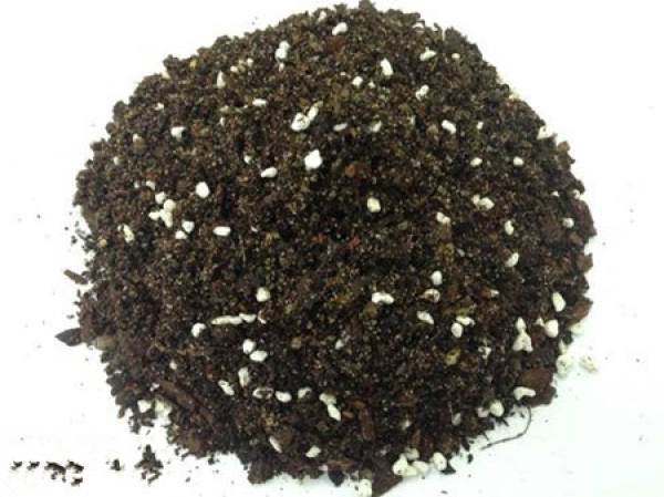soil selection for changing broccoli