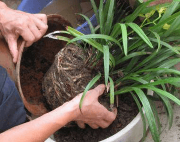 How to change the basin