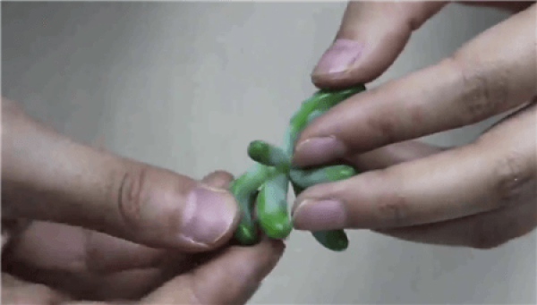 Leaf plucking