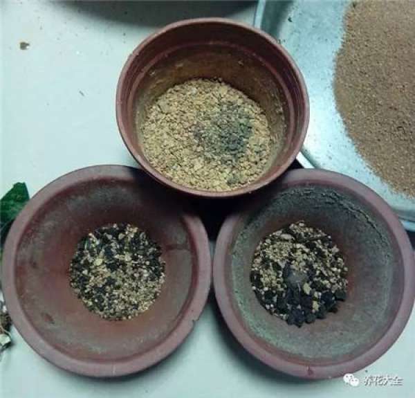 Go out and meet a flowerpot