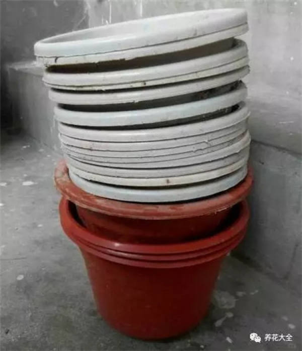 Go out and meet a flowerpot
