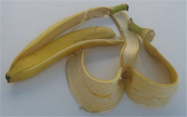 Bananas can grow flowers.