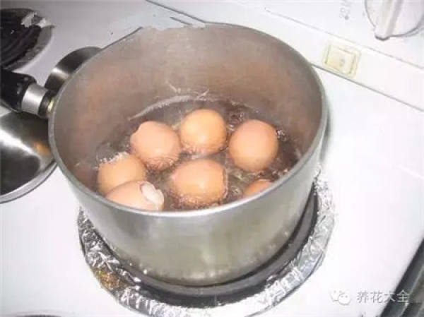 A flowerpot made of eggshell