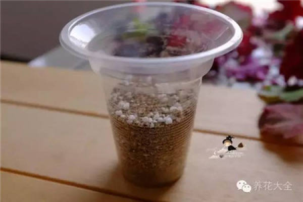 Culture soil