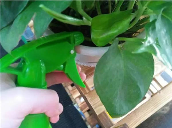 Watering Taboo