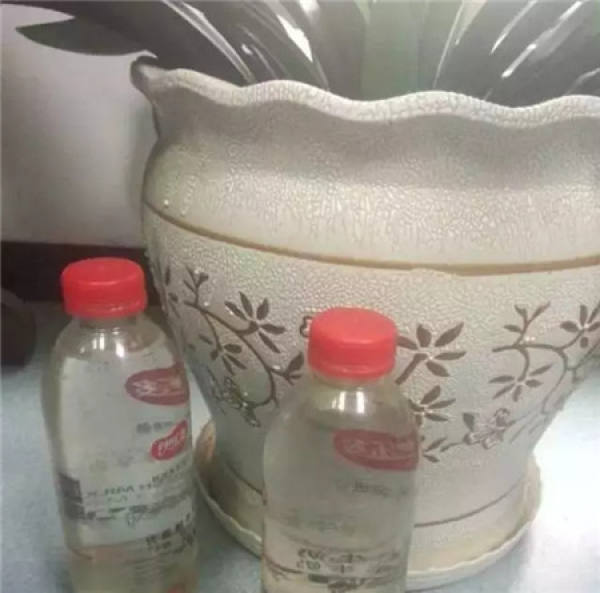 Watering Taboo