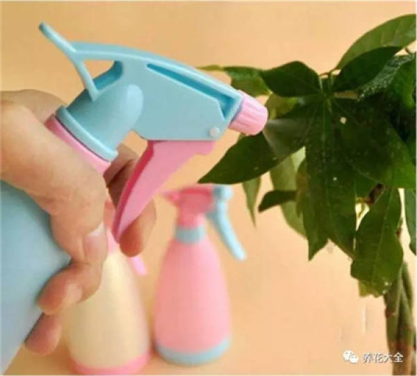 Watering Taboo