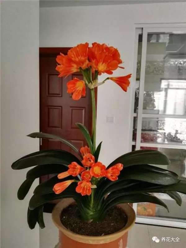 Add some vinegar to the water.