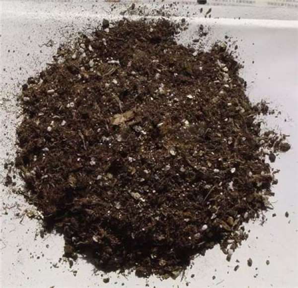 Cleaning root system