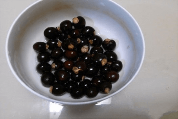 Longan