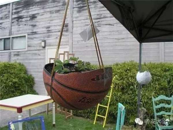 Coconut Shell Flower Pot