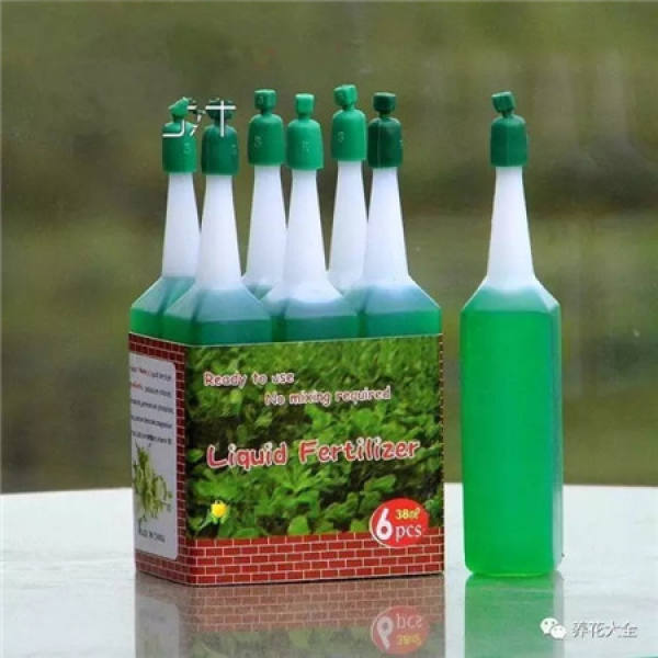 Water the fish tank with green radish