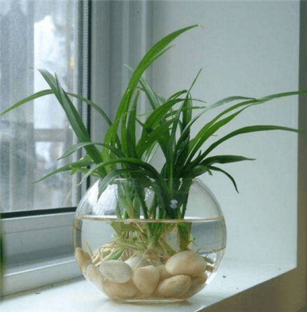 Stone: hydroponics machine