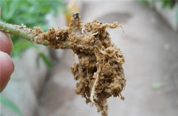 Sand: a cutting tool