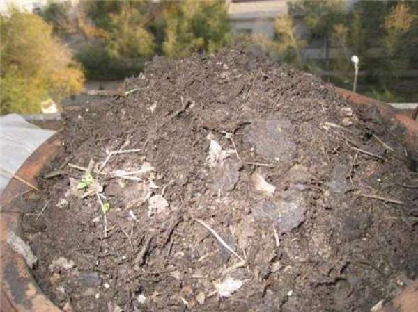 Brief introduction of humus soil