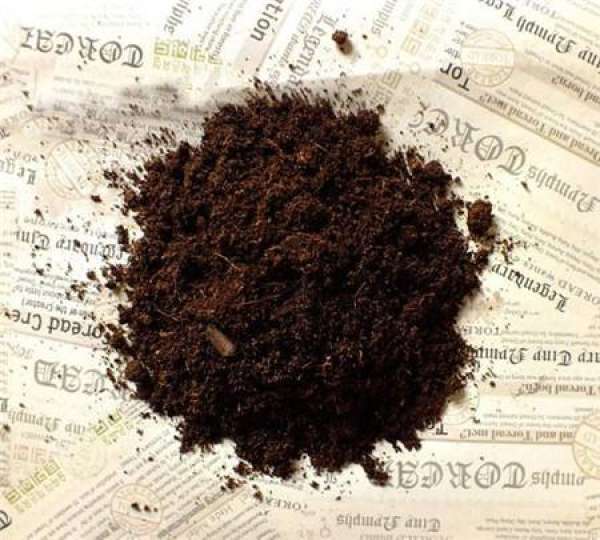 Brief Introduction of Peat Soil