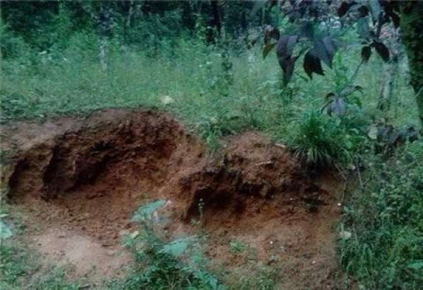 introduction to mountain soil