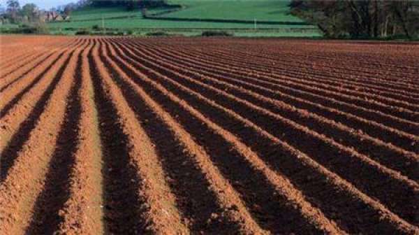 increase application of organic fertilizer