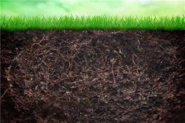 Heavy application of microbial fertilizer
