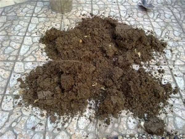 High-temperature disinfection method for cuttage substrates