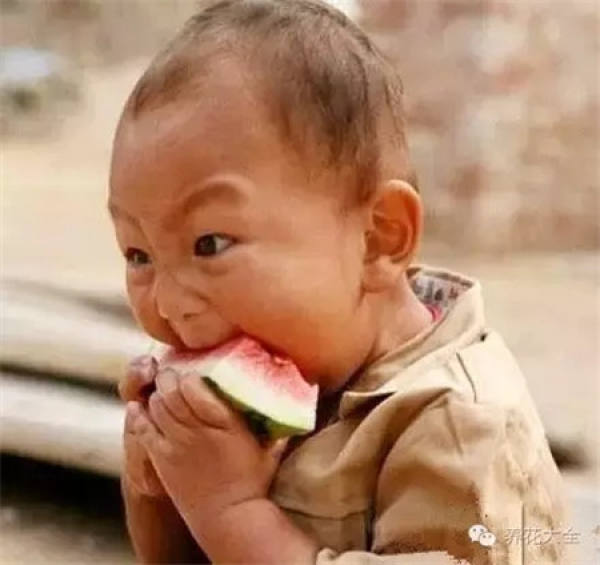 Watermelon flower fertilizer