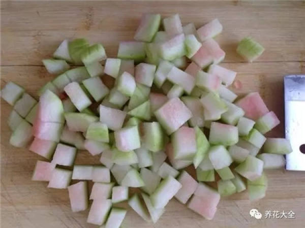 Watermelon flower fertilizer