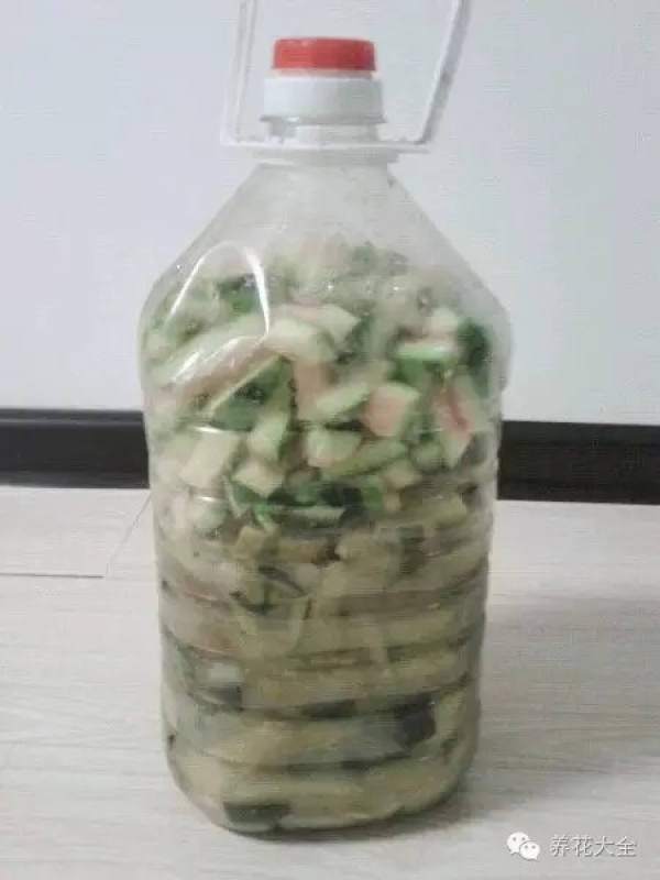 Watermelon flower fertilizer