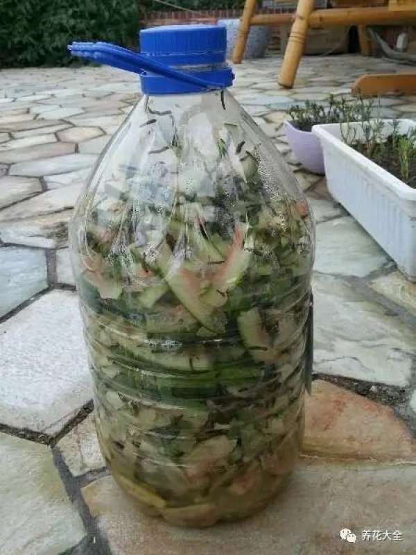 Watermelon flower fertilizer