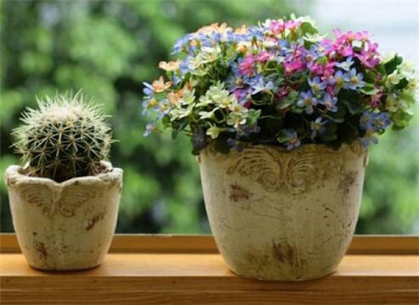 Fertilizing according to the growth period of the plant