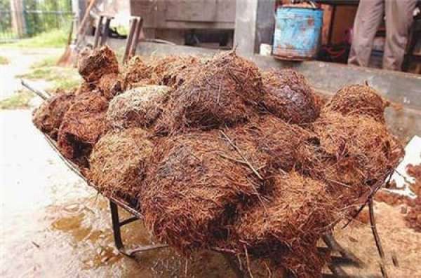 The difference between decomposed and undecomposed fertilizers is fermentation.