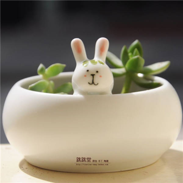 Selection of flowerpots according to plant shape