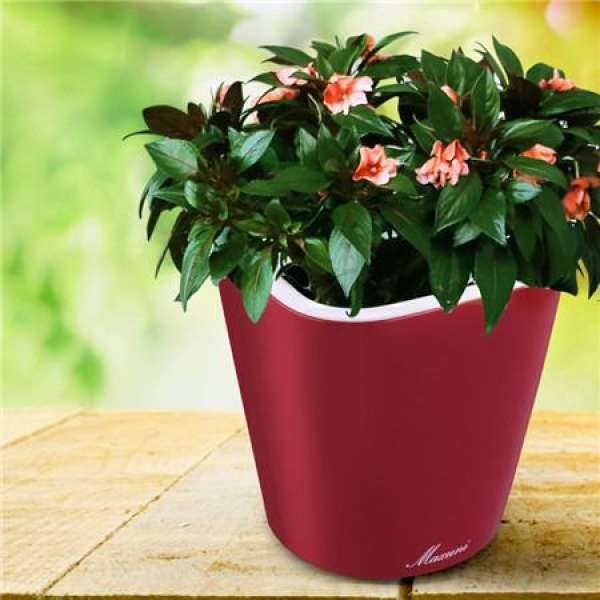 Selection of flowerpots according to plant growth habit