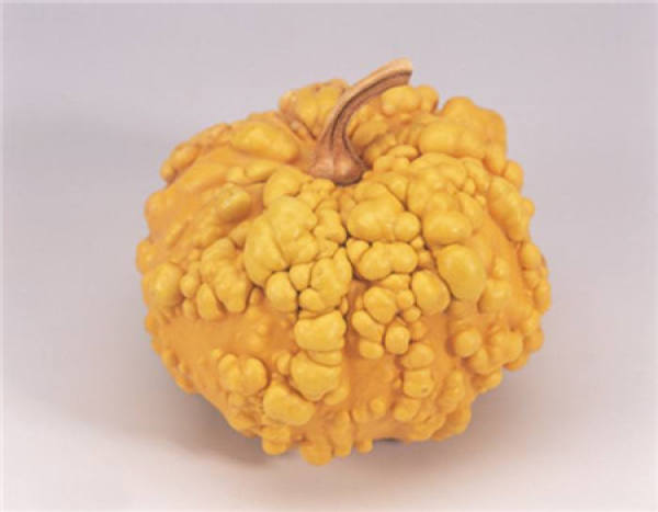 yuanyang pear
