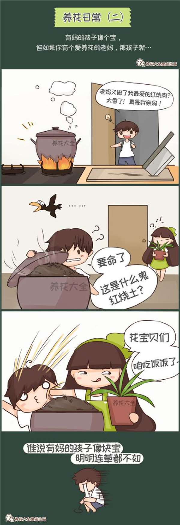 flower cultivation daily 1