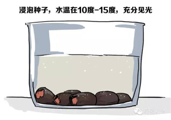 It is used to describe that someone is very careful.