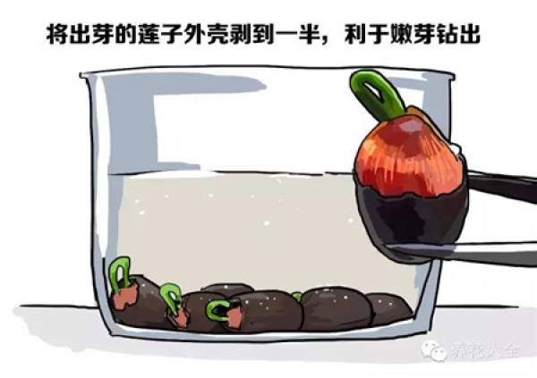 It is used to describe that someone is very careful.
